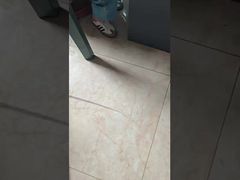 DLX Capillaire médical au platine-iridium