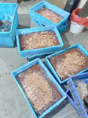 Bon prix CuNi10/CuNi30 bande d'alliage de cuivre-nickel à haute conductivité résistante à la corrosion pour utilisation marine et industrielle en ligne